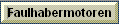 Faulhabermotoren
